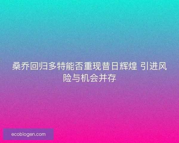 桑乔回归多特能否重现昔日辉煌 引进风险与机会并存